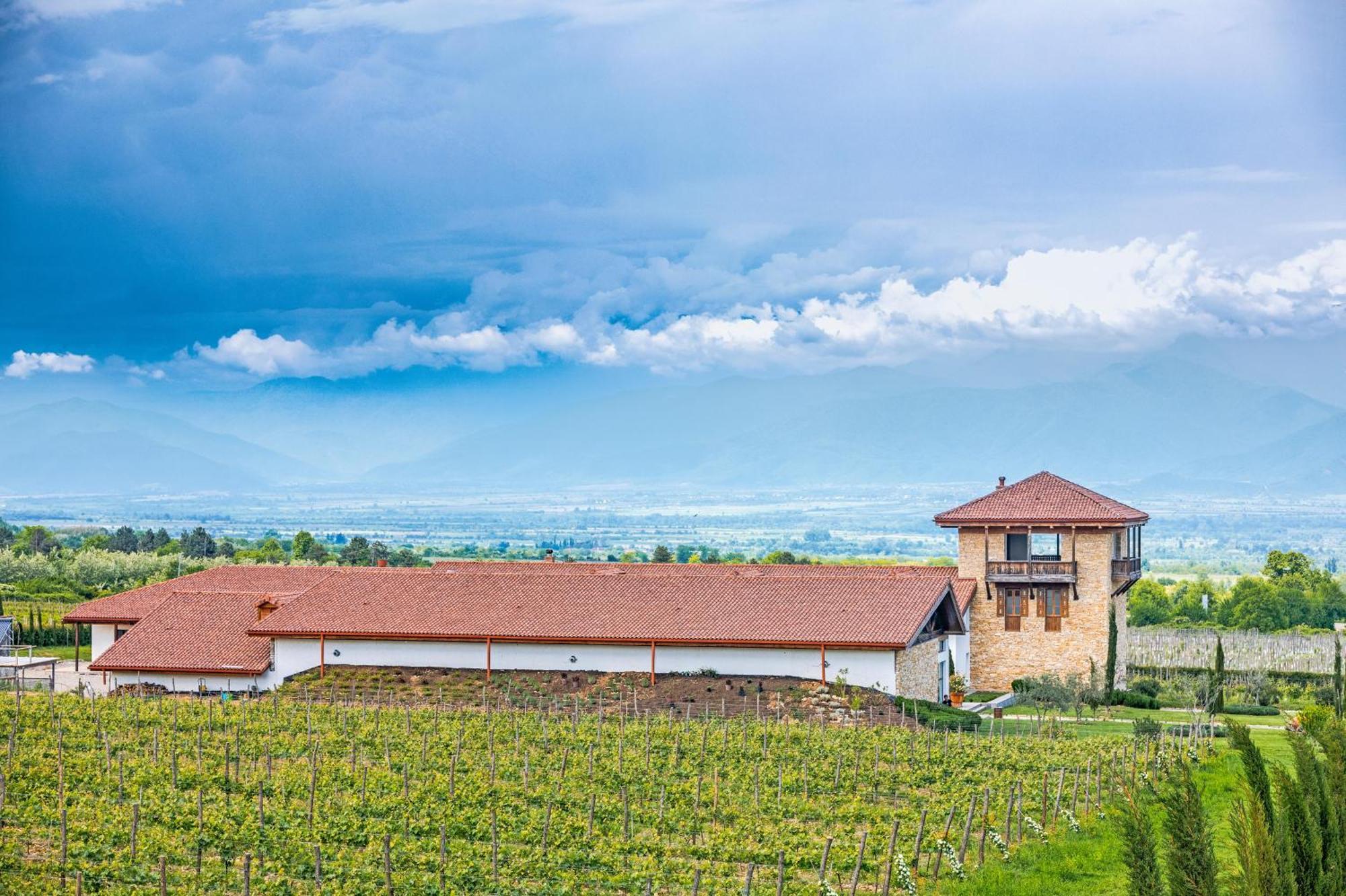 תלאווי Chateau Mosmieri Hotel & Winery מראה חיצוני תמונה