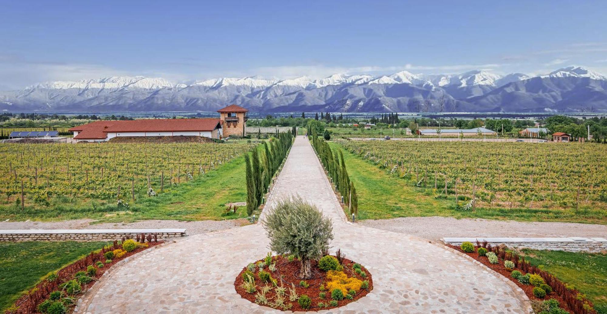 תלאווי Chateau Mosmieri Hotel & Winery מראה חיצוני תמונה